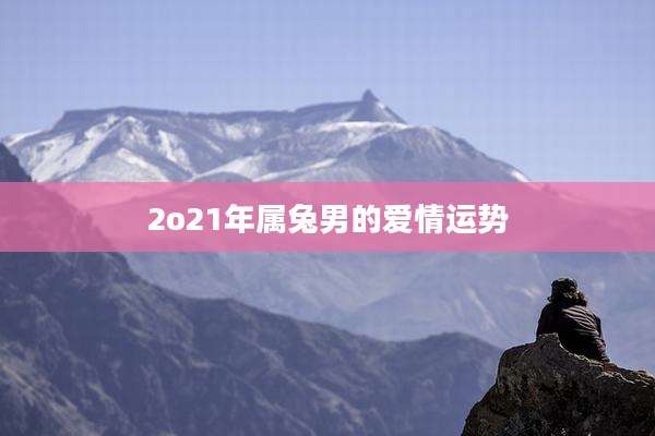 2o21年属兔男的爱情运势