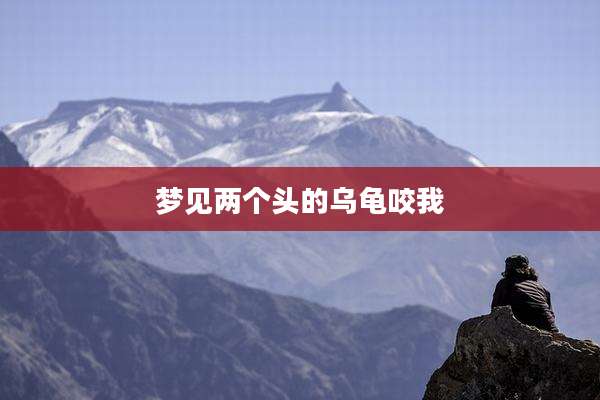 梦见两个头的乌龟咬我