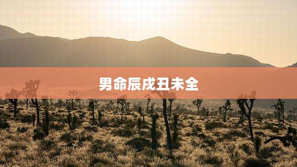 男命辰戌丑未全