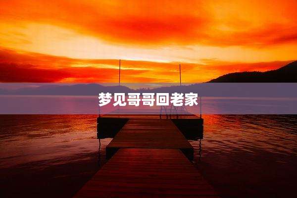 梦见哥哥回老家
