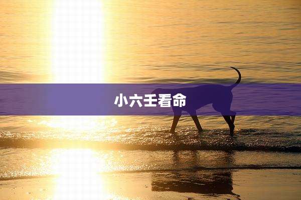 小六壬看命