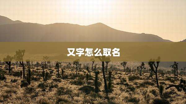 又字怎么取名