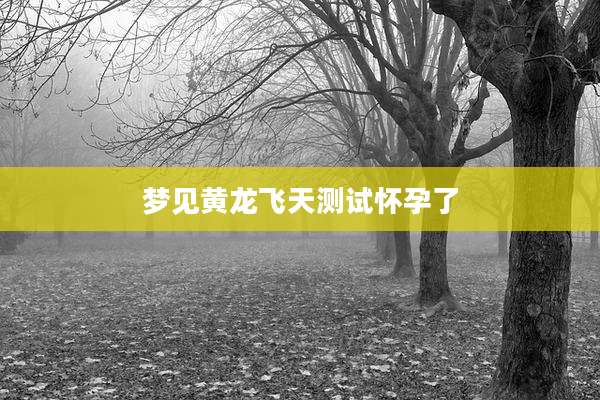 梦见黄龙飞天测试怀孕了