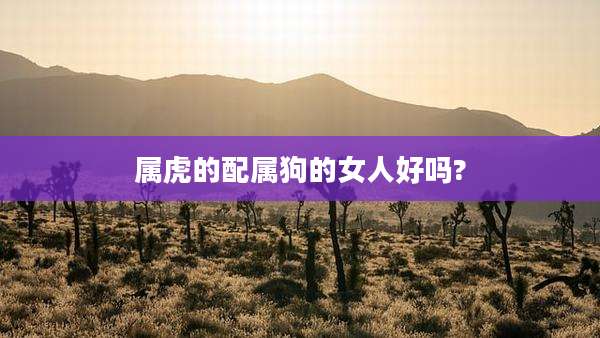 属虎的配属狗的女人好吗?