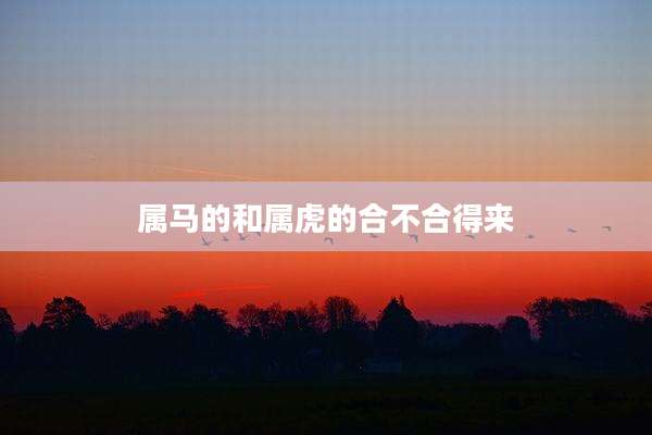 属马的和属虎的合不合得来