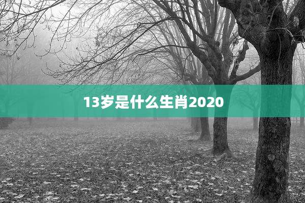 13岁是什么生肖2020
