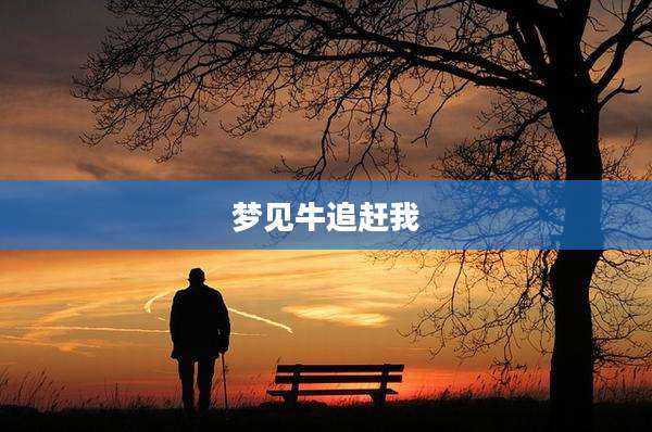梦见牛追赶我