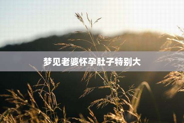 梦见老婆怀孕肚子特别大