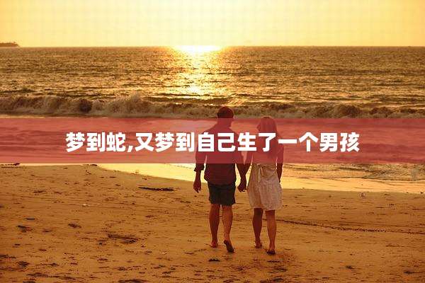 梦到蛇,又梦到自己生了一个男孩