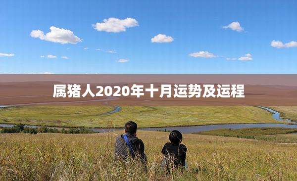 属猪人2020年十月运势及运程