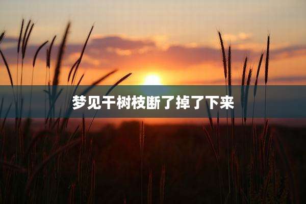梦见干树枝断了掉了下来