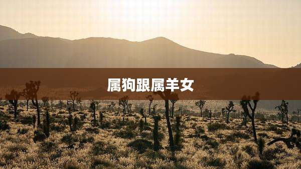属狗跟属羊女