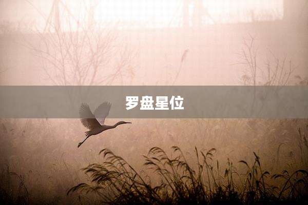 罗盘星位