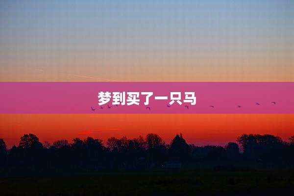 梦到买了一只马