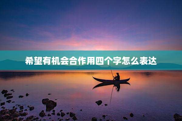 希望有机会合作用四个字怎么表达