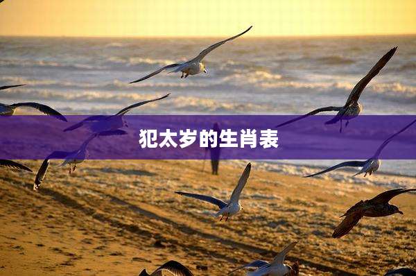 犯太岁的生肖表