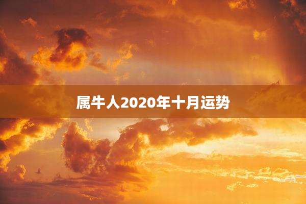 属牛人2020年十月运势