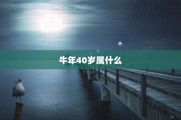 牛年40岁属什么