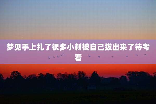 梦见手上扎了很多小刺被自己***了待考着