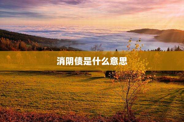 消阴债是什么意思