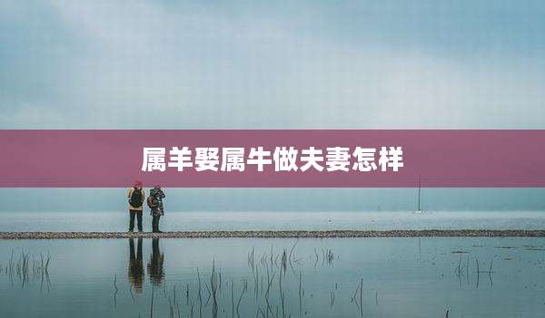 属羊娶属牛做夫妻怎样