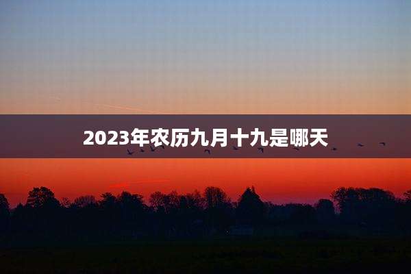 2023年农历九月十九是哪天