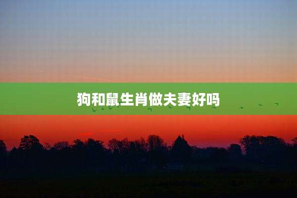 狗和鼠生肖做夫妻好吗