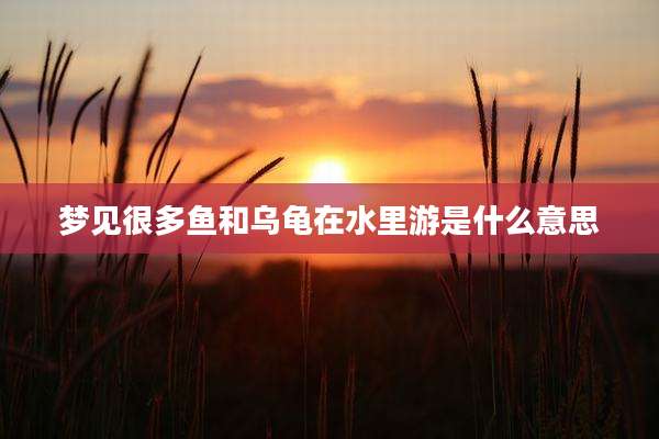 梦见很多鱼和乌龟在水里游是什么意思