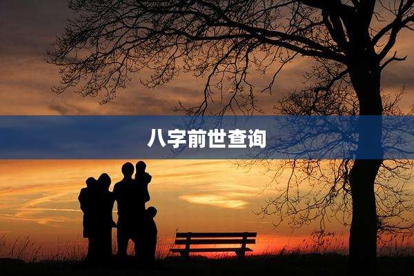 八字前世查询
