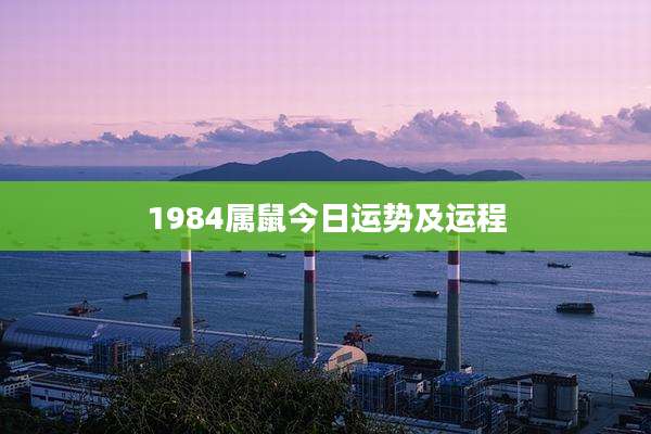 1984属鼠今日运势及运程