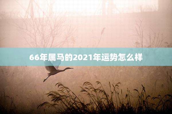 66年属马的2021年运势怎么样