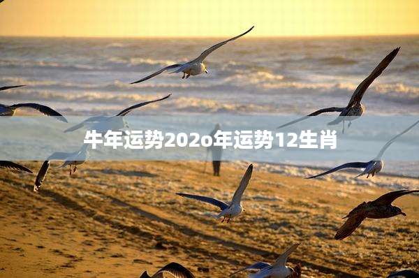 牛年运势202o年运势12生肖