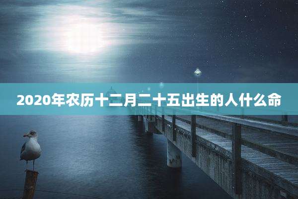 2020年农历十二月二十五出生的人什么命