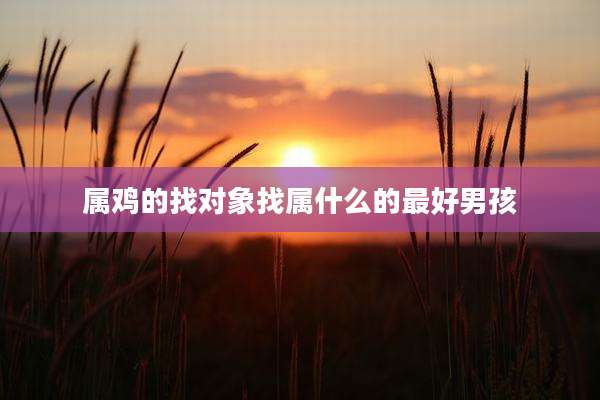 属鸡的找对象找属什么的最好男孩