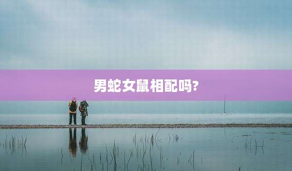 男蛇女鼠相配吗?