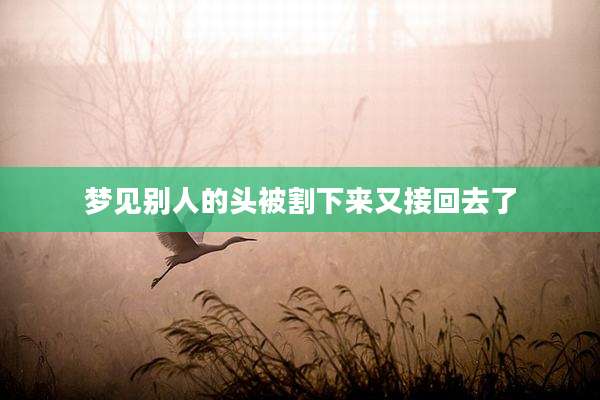 梦见别人的头被割下来又接回去了