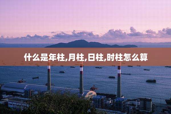 什么是年柱,月柱,日柱,时柱怎么算