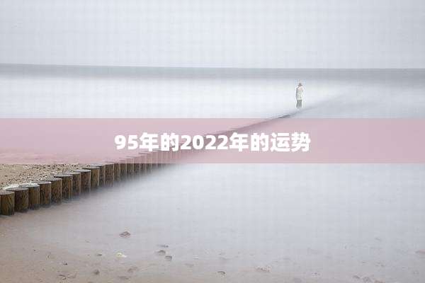 95年的2022年的运势