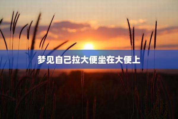 梦见自己拉大便坐在大便上