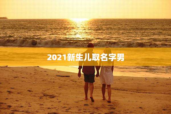 2021新生儿取名字男