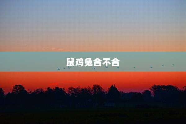 鼠鸡兔合不合