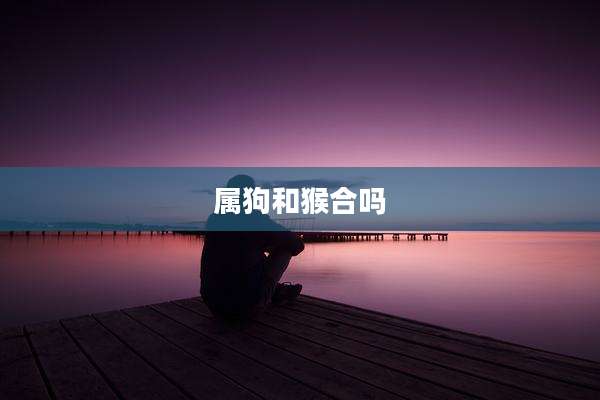 属狗和猴合吗