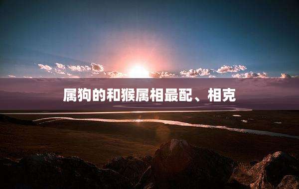 属狗的和猴属相最配、相克