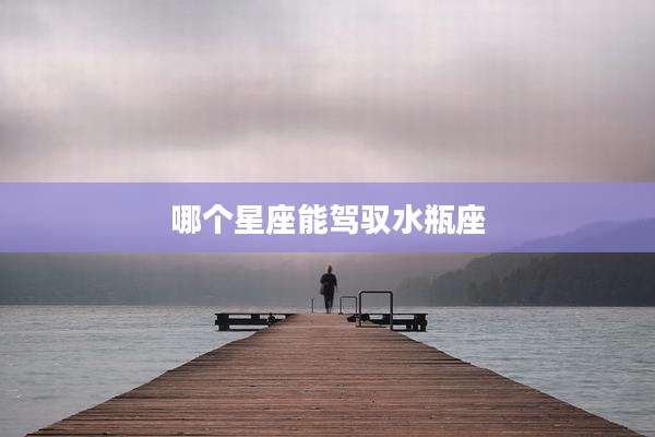 哪个星座能驾驭水瓶座