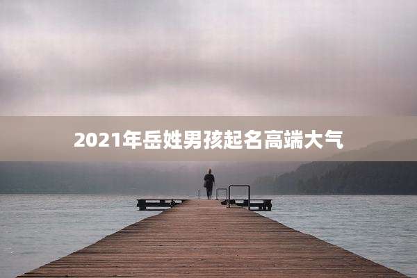2021年岳姓男孩起名高端大气