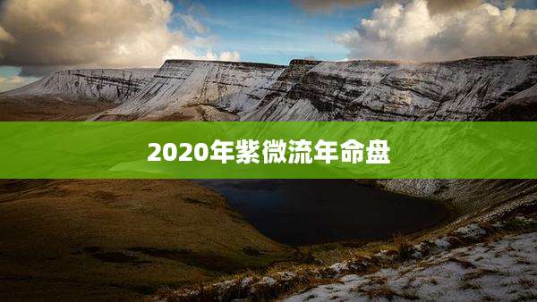 2020年紫微流年命盘