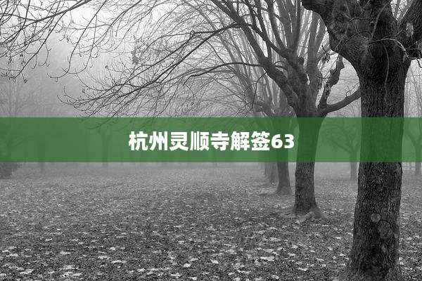 杭州灵顺寺解签63