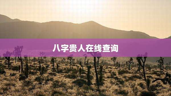 八字贵人在线查询