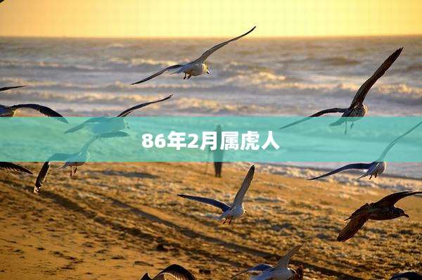 86年2月属虎人