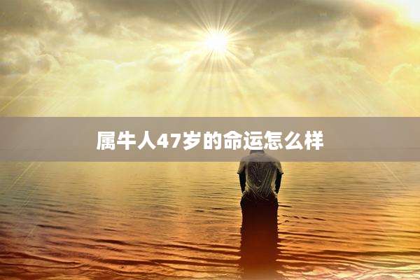 属牛人47岁的命运怎么样